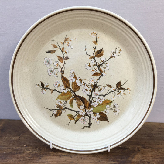 Royal Doulton "Wild Cherry (LS1038)"