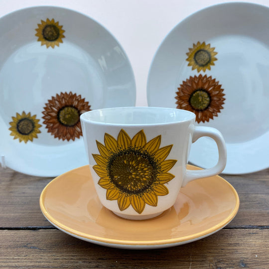 J & G Meakin "Palma"