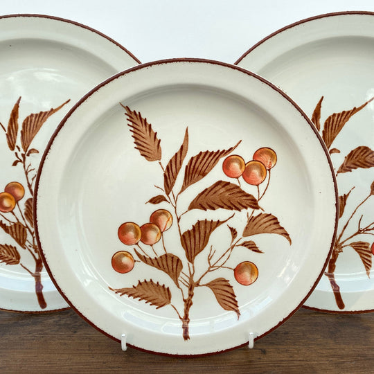 Midwinter "Wild Cherry"