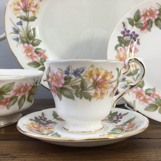 Paragon "Country Lane"