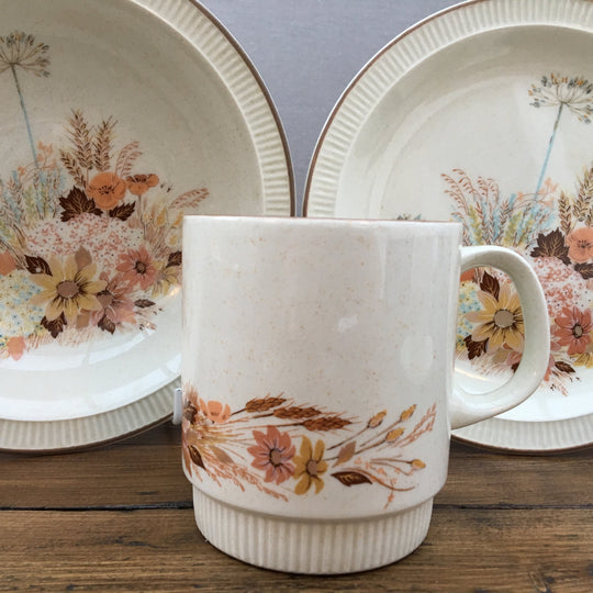 Poterie Poole « Gloire de septembre/été (Compact) »