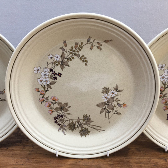 Royal Doulton "Bredon Hill (LS1045)"