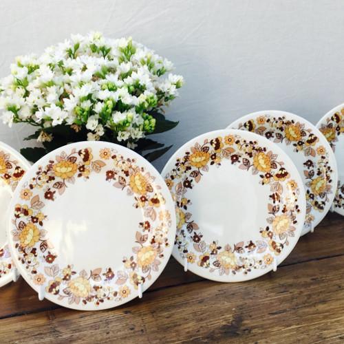 Royal Doulton "Indian Summer" (TC1099)