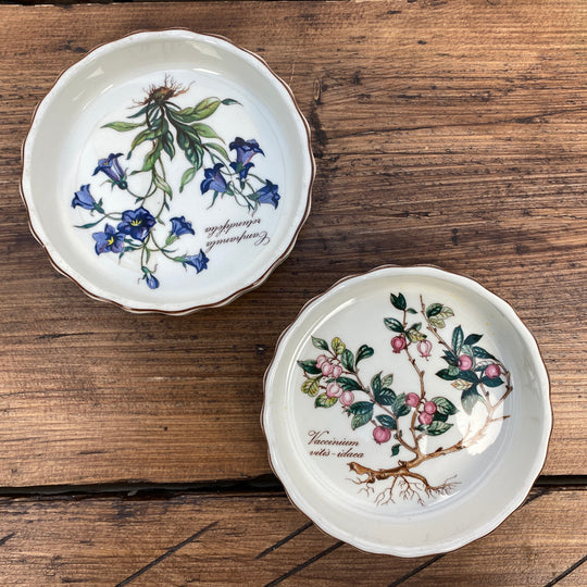 Villeroy & Boch "Botanica"