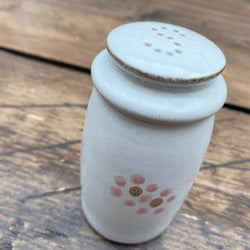 Denby Gypsy Salt Pot