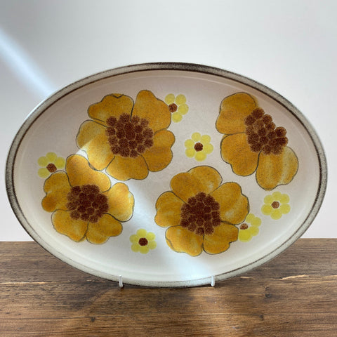 Denby Minstrel Oval Serving Platter