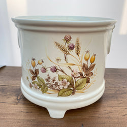 St Michael Harvest Glossy Plant Pot