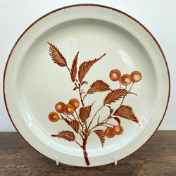 Midwinter Wild Oats Dinner Plate