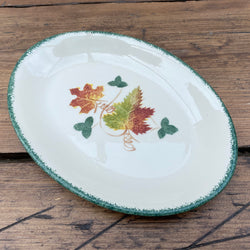 Poole Pottery New England Oval Tea Plate