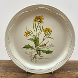 Poole Pottery Country Lane Dinner Plate