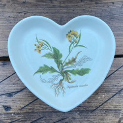 Poole Pottery Country Lane Sweet Plate, Heart - Diplotaxis muralis
