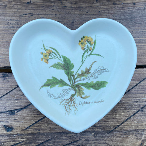 Poole Pottery Country Lane Sweet Plate, Heart - Diplotaxis muralis