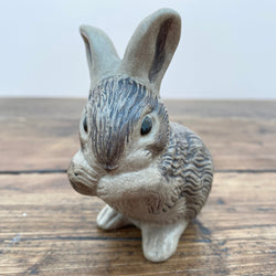 Poole Pottery Stoneware Rabbit Washing