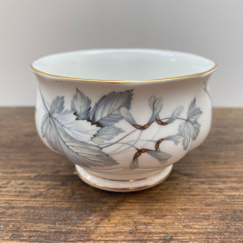 Royal Albert Silver Maple Sugar Bowl (Coffee Set)