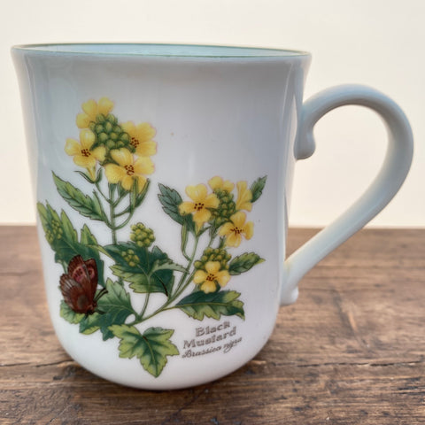 Worcester Herbs Mug - Black Mustard