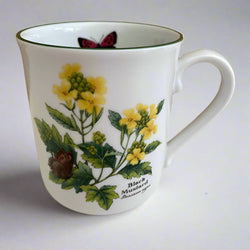 Royal Worcester Herbs Mug - Made in Portugal