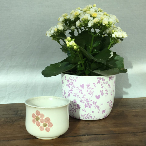 Denby Gypsy Sugar Bowl