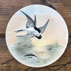 Poole Pottery Transfer Plate - John Gould - House-Martin