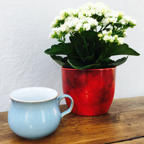 Denby Colonial Blue Tea Cup