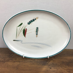 Denby Greenwheat Steak Plate / Oval Platter