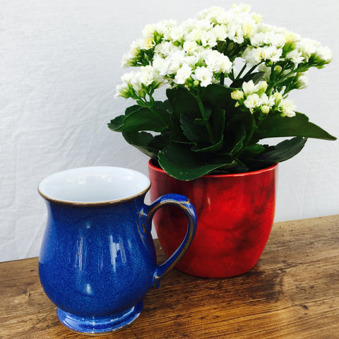 Denby Imperial Blue Craftsman Mug