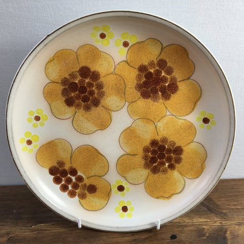 Denby Minstrel Dinner Plate