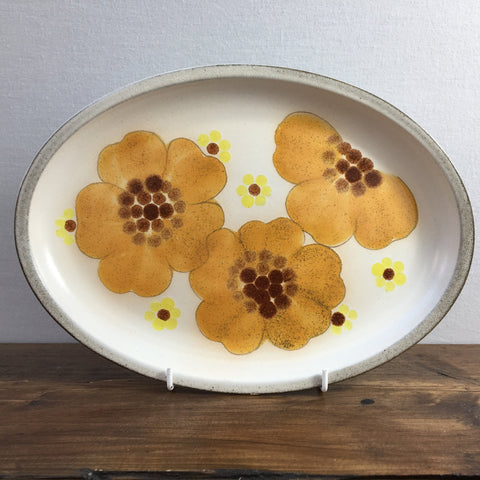 Denby Minstrel Steak Plate