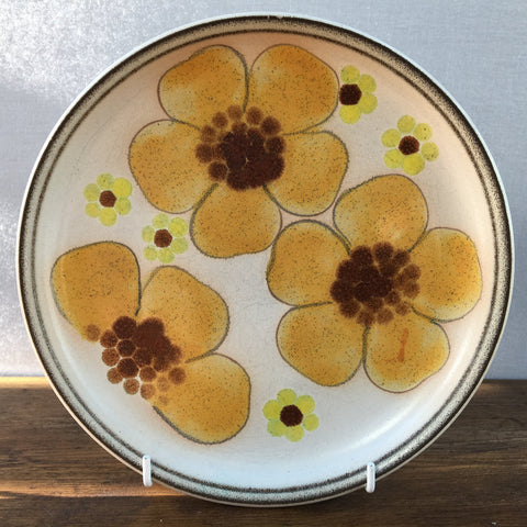 Denby Minstrel Breakfast / Salad Plate