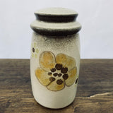 Denby Minstrel Salt Pot