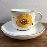 Denby Minstrel Tea Cup & Saucer