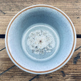 Denby Pottery Reflections Ramekin Dish
