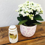 Denby Pottery Troubadour Pepper Pot