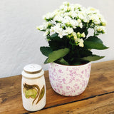 Denby Troubadour Salt Pot