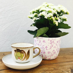 Denby Troubador Tea Cup