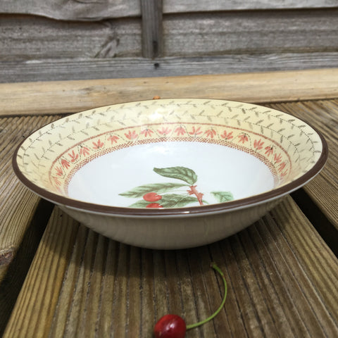 Johnson Bros Fruit Sampler Dessert Bowl