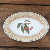 Johnson Bros Fruit Sampler Gravy Boat Saucer