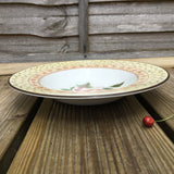 Johnson Bros Fruit Sampler Rimmed Soup Bowl