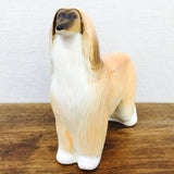 Lomonosov Girl Afgan Hound