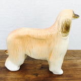 Lomonosov Female Afgan Hound