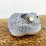 Lomonosov Gray Rabbit