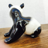 Lomonosov Panda Bear Cub