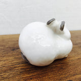 Lomonosov White Rabbit