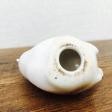 Missing Lomonosov backstamp