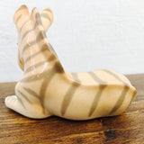 Lomonosov Zebra Foal