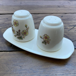 Marks & Spencer Autumn Leaves Salt & Pepper Set
