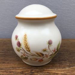 Marks & Spencer Harvest Salt Pot