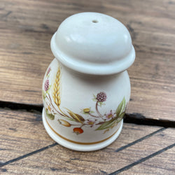 Marks & Spencer Harvest Salt Pot