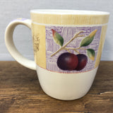 Marks & Spencer "Wild Fruits" Mug