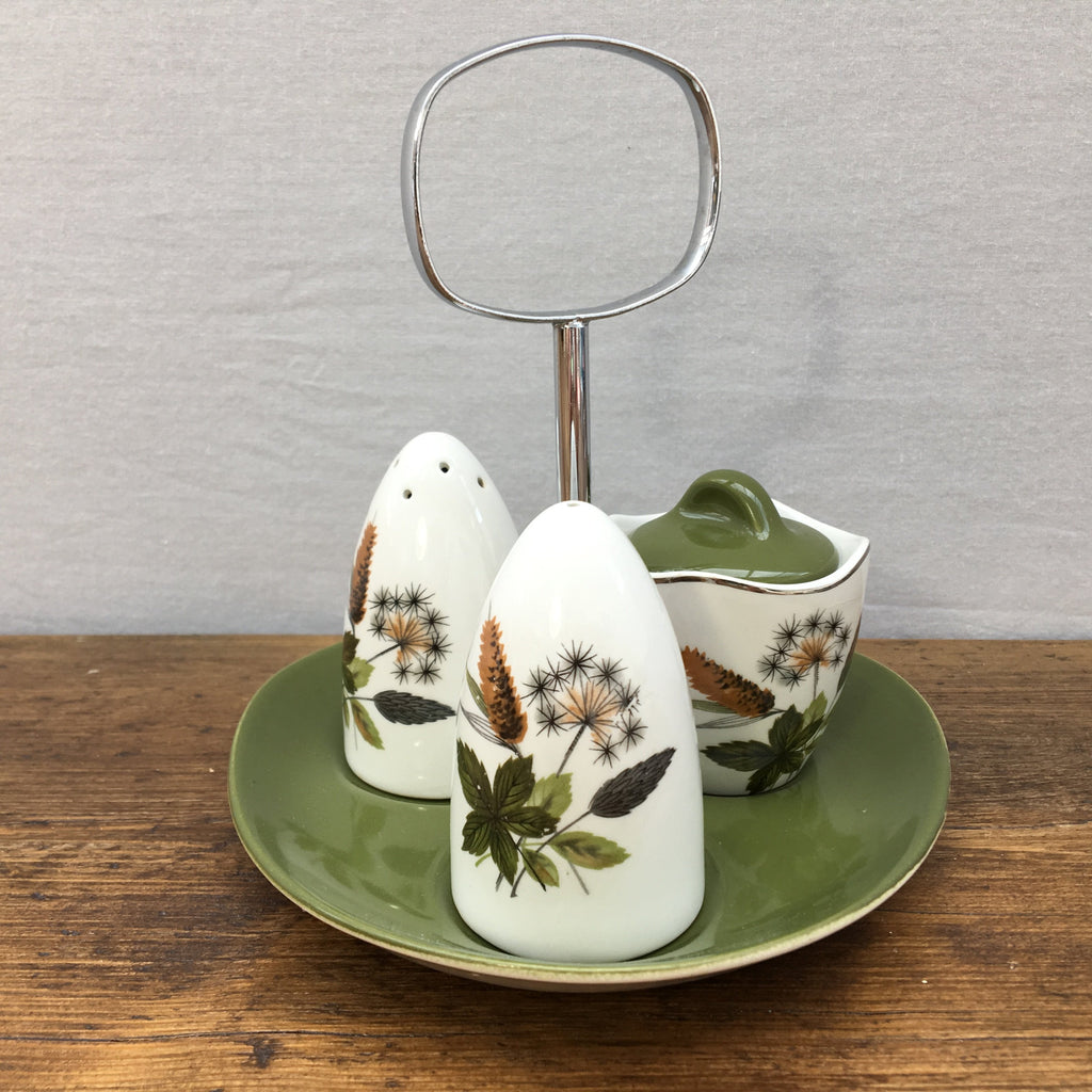 Midwinter "Riverside" Cruet Set With Stand (RARE) MrPottery