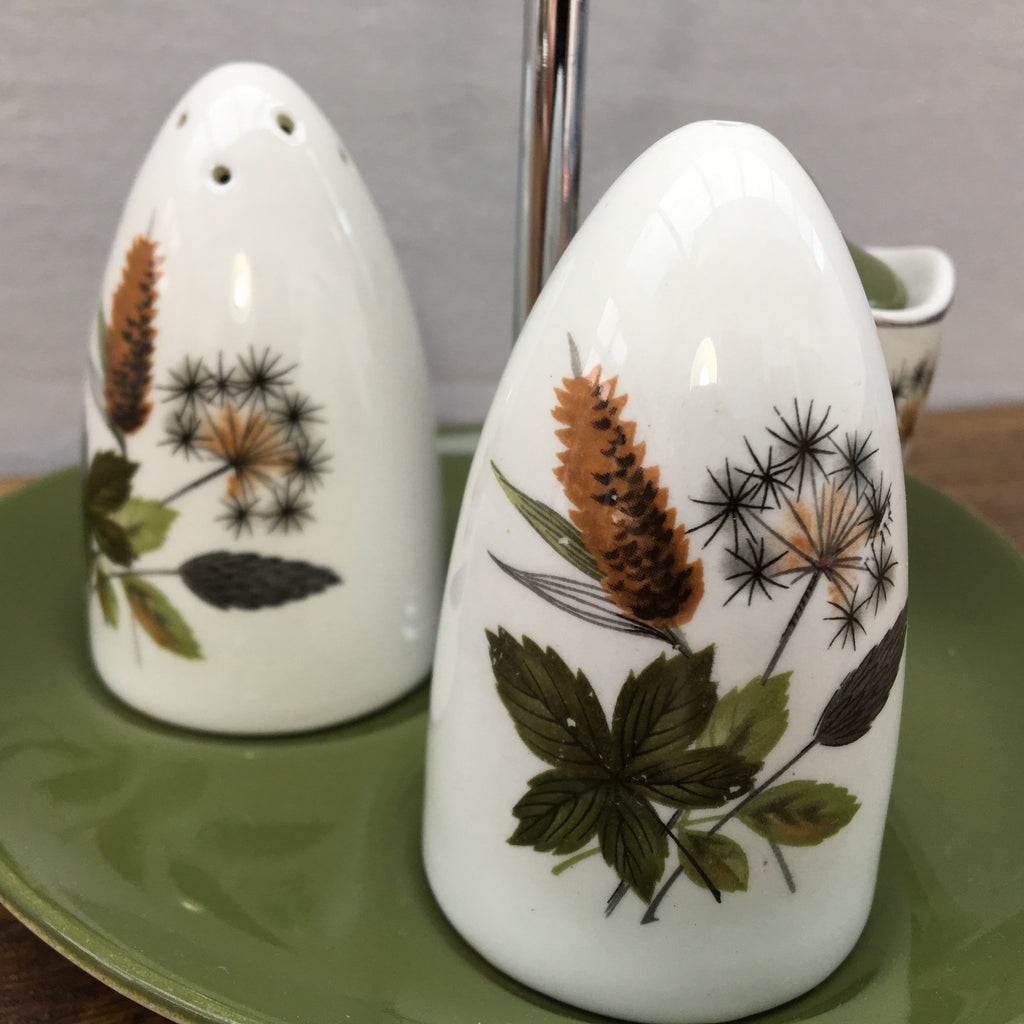 Midwinter "Riverside" Cruet Set With Stand (RARE) MrPottery